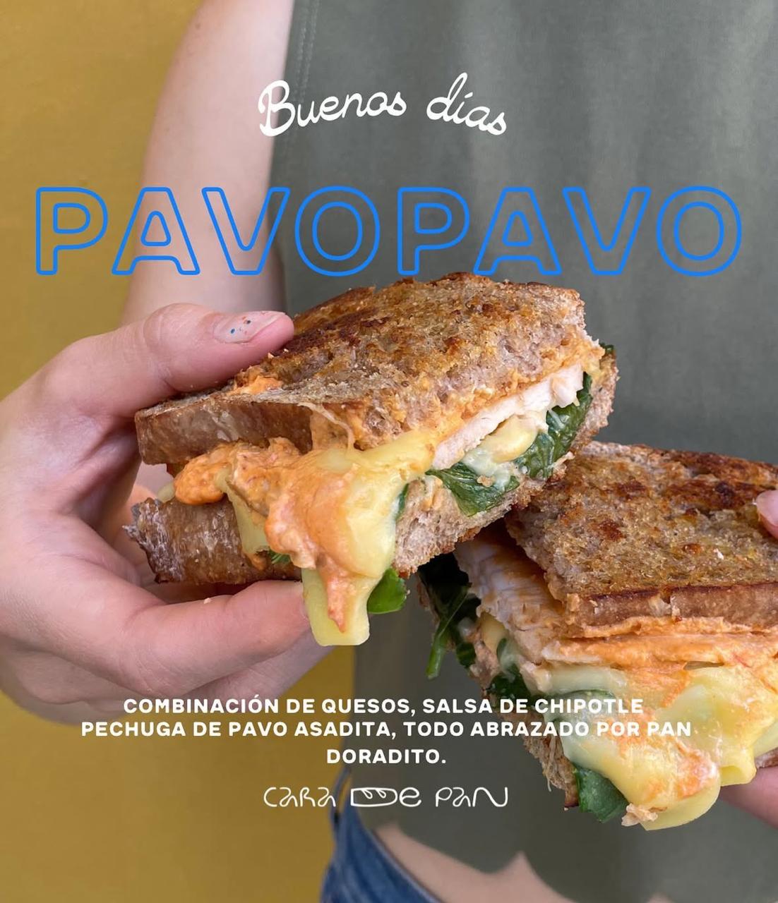 Pavo pavo